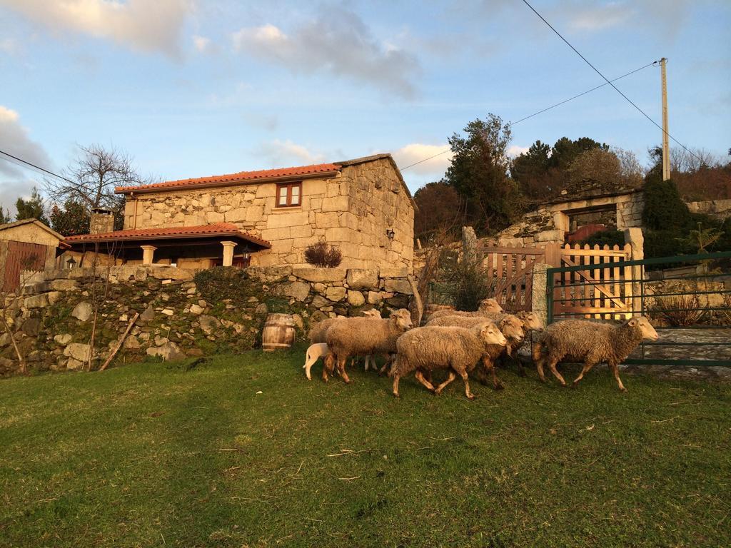 Riba de Mouro Refugio Dos Cregosゲストハウス エクステリア 写真